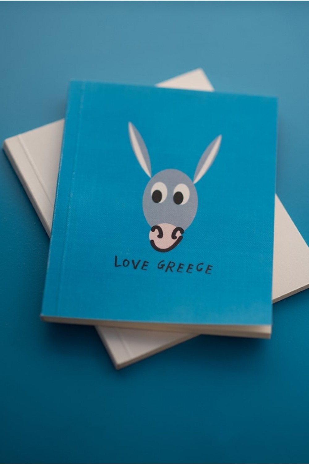 THE BLUE "DONKEY" MINI NOTEBOOK